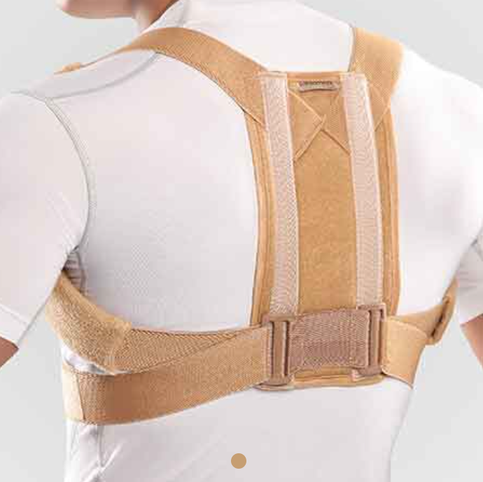 قوز بند طبی پل دار Clavicle Brace with Two Bar
